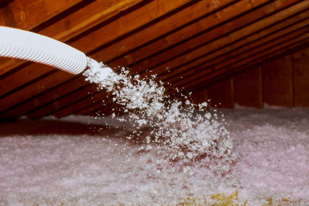 Best Commercial Insulation in Roland, IA