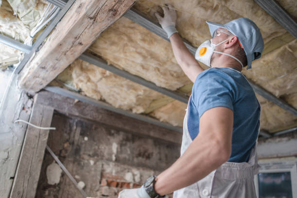 Best Insulation Installation Services in Roland, IA