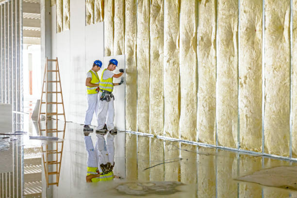 Best Types of Insulation in Roland, IA